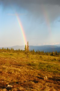 Double Rainbow Porcupine! Double Rainbow Porcupine!